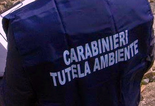 Carabinieri_NOE