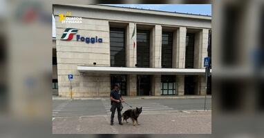 Controlli estivi nel Foggiano con i cani antidroga: 163 assuntori individuati