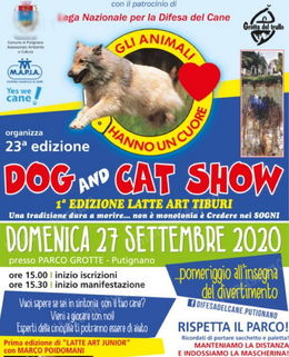 Dog Cat Show 2020
