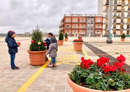 Piante e fiori su Piazza A.Moro